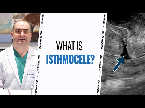 Prof. Dr. Yavuz Aydın