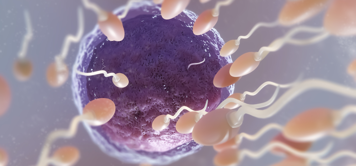 сперма жизнь в организме фото 30